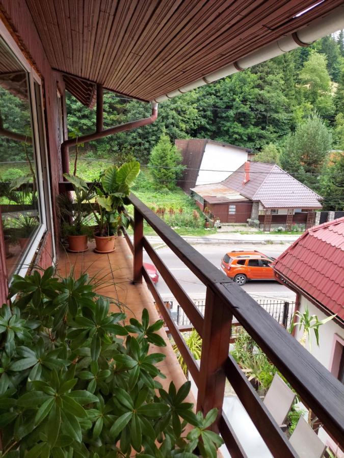 Pensiune Casa Barcaru Азуга Екстер'єр фото