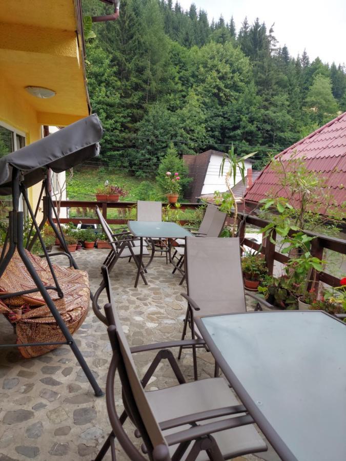Pensiune Casa Barcaru Азуга Екстер'єр фото