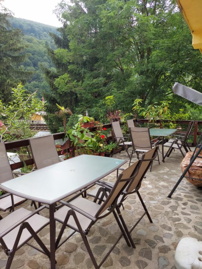Pensiune Casa Barcaru Азуга Екстер'єр фото